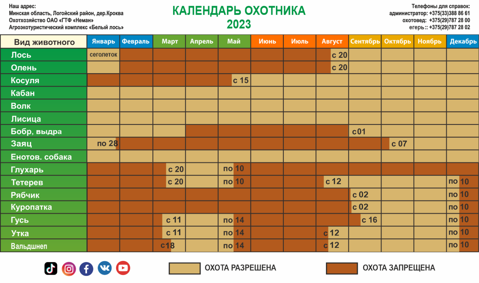 Опубликован календарь для смоленских охотников на 2024 год - KP.RU